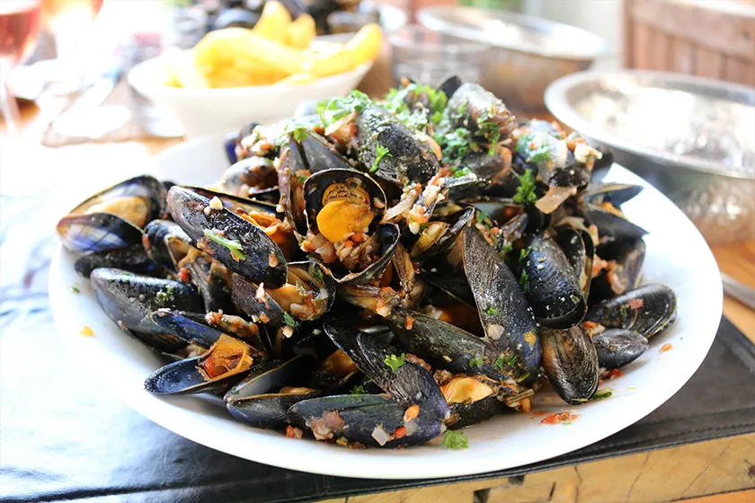 Mussels