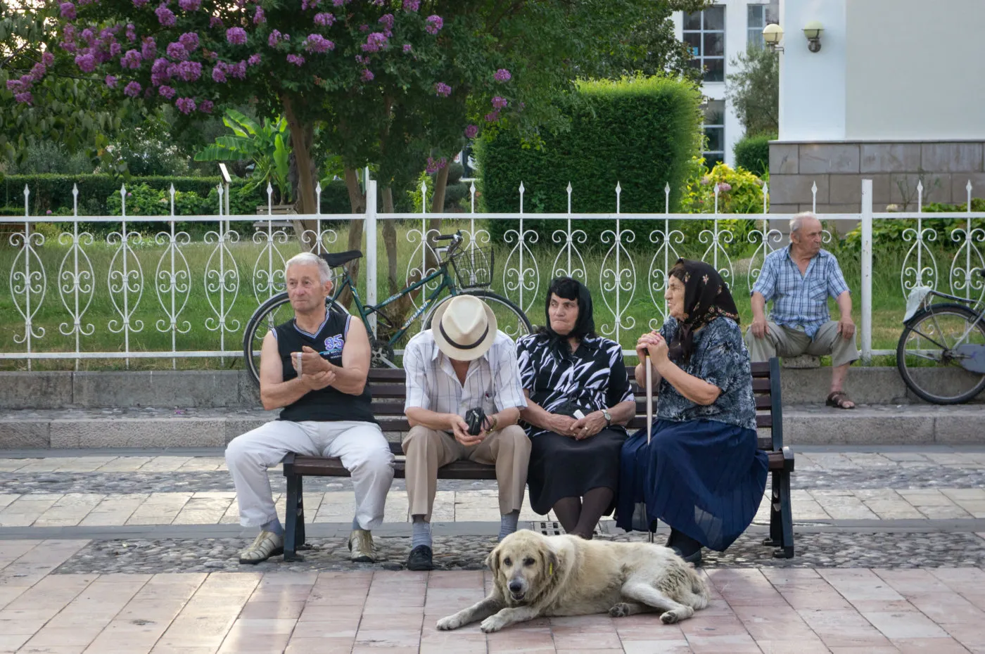 Lakeside bench overlooking Shkodër