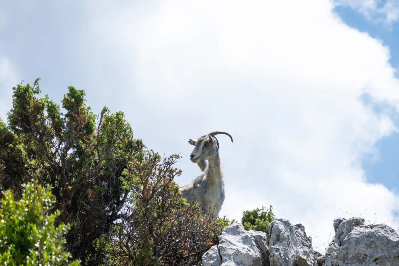 Karaburun Peninsula wild coastline