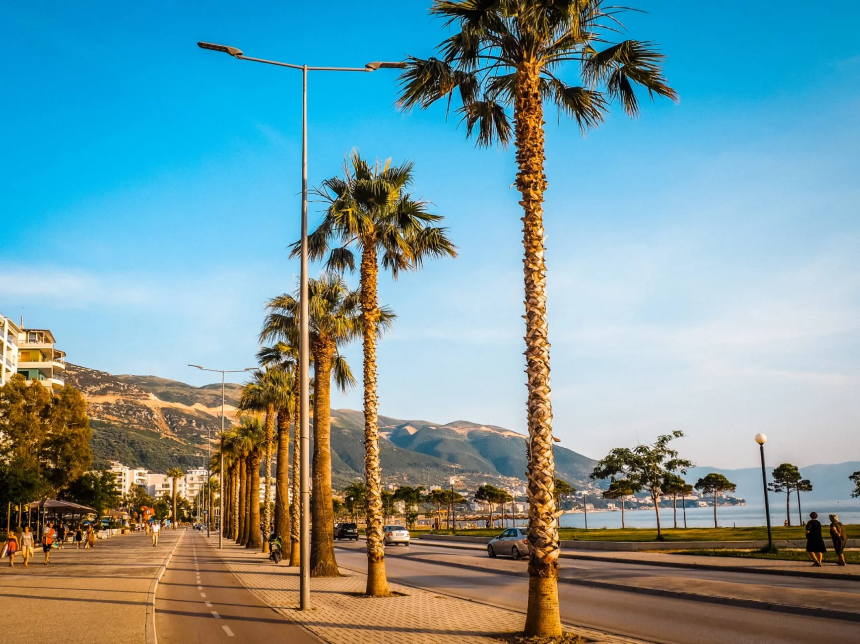 Vlorë promenade with palm trees and bay view, Albania